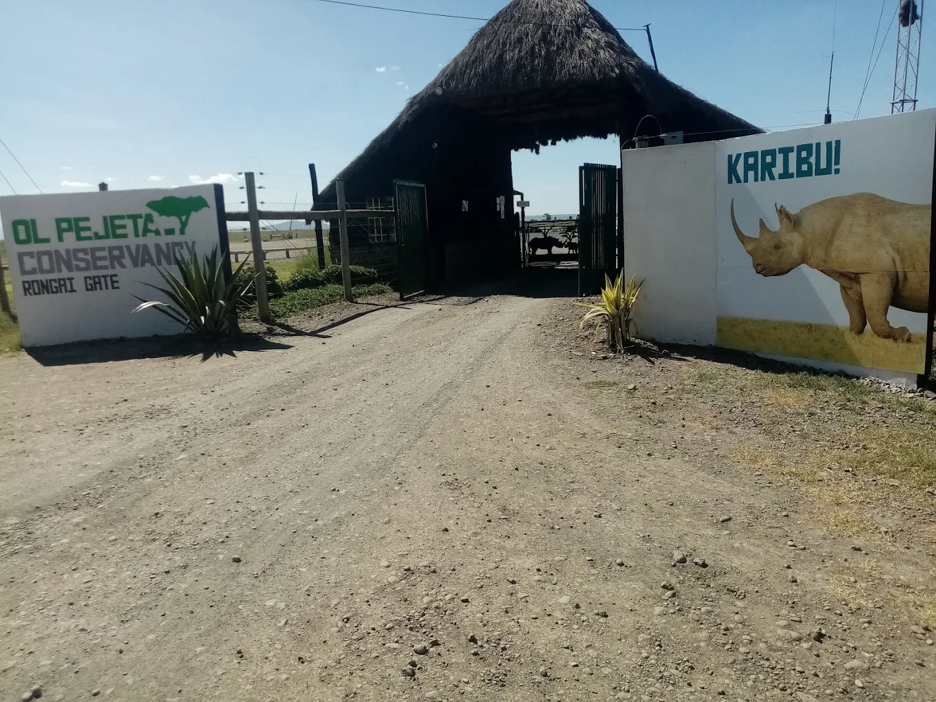 Ol Pejeta Conservancy