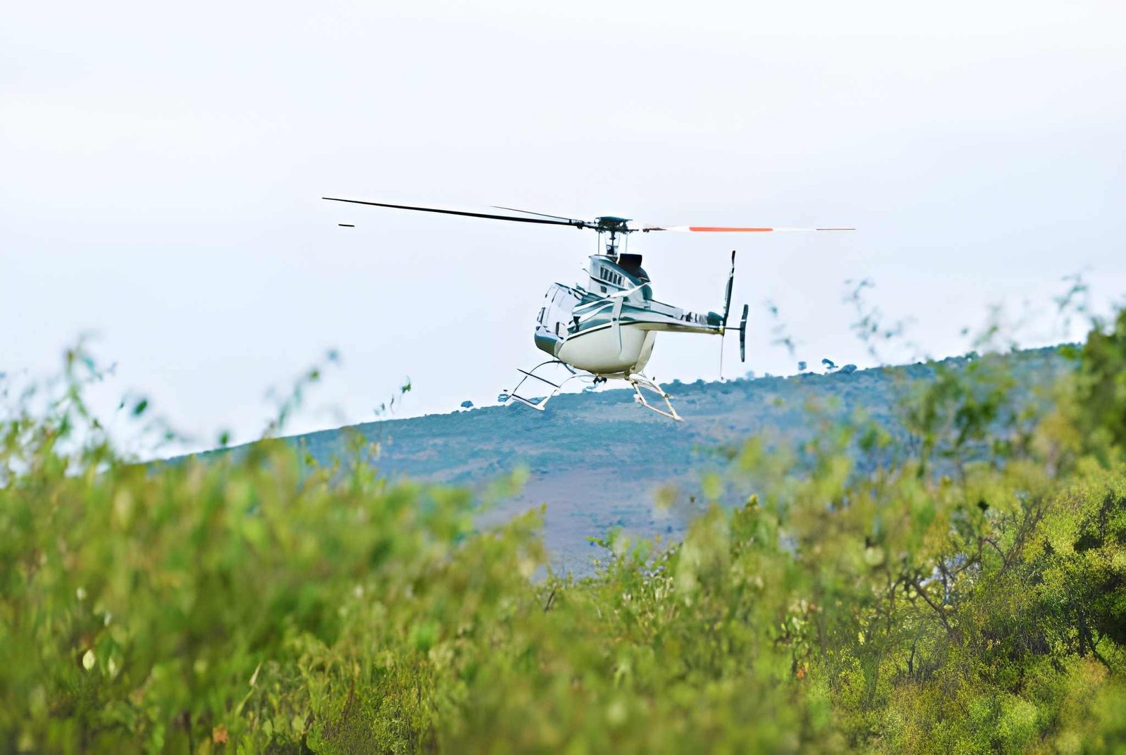 Helicopter Rates & Booking Details