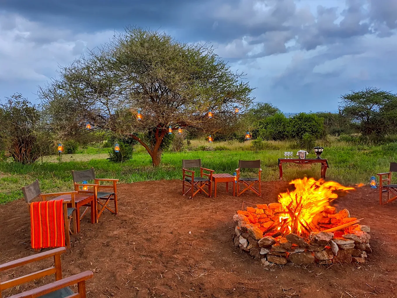 Tarangire Kuro Treetops Lodge