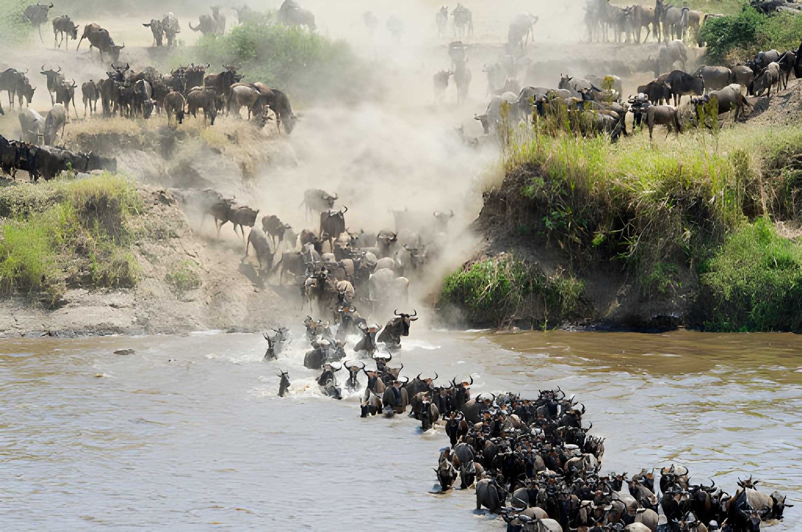 5-Day Serengeti Wildebeest Migration Safari