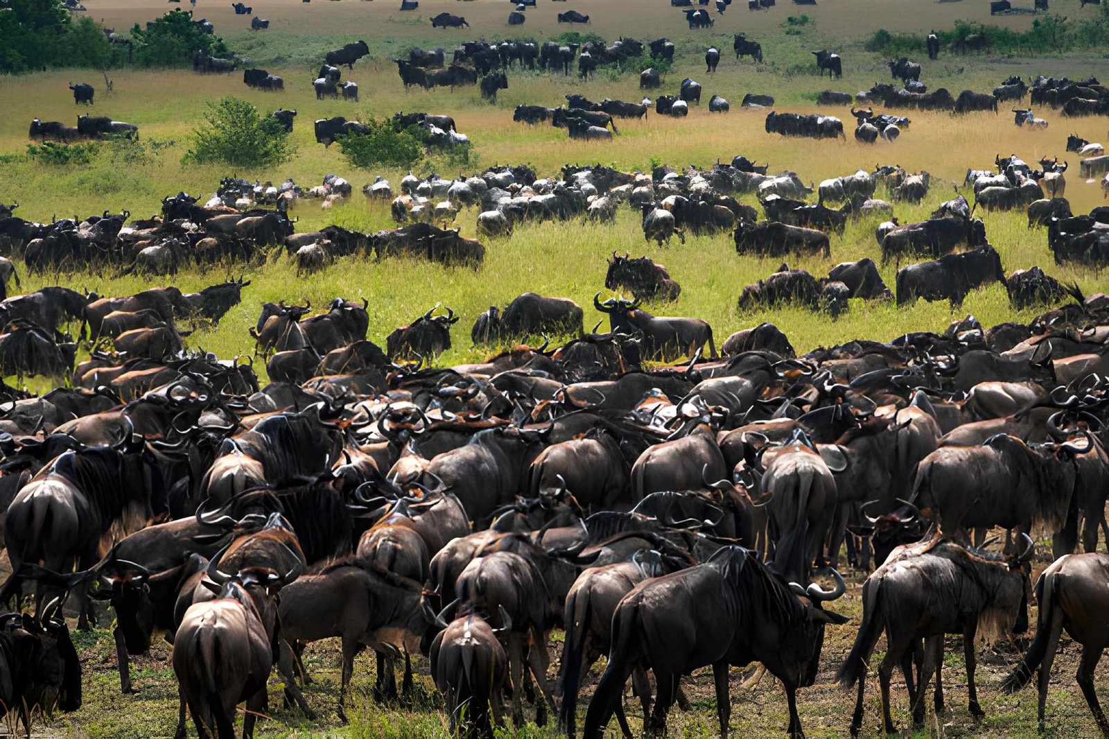 Serengeti National Park