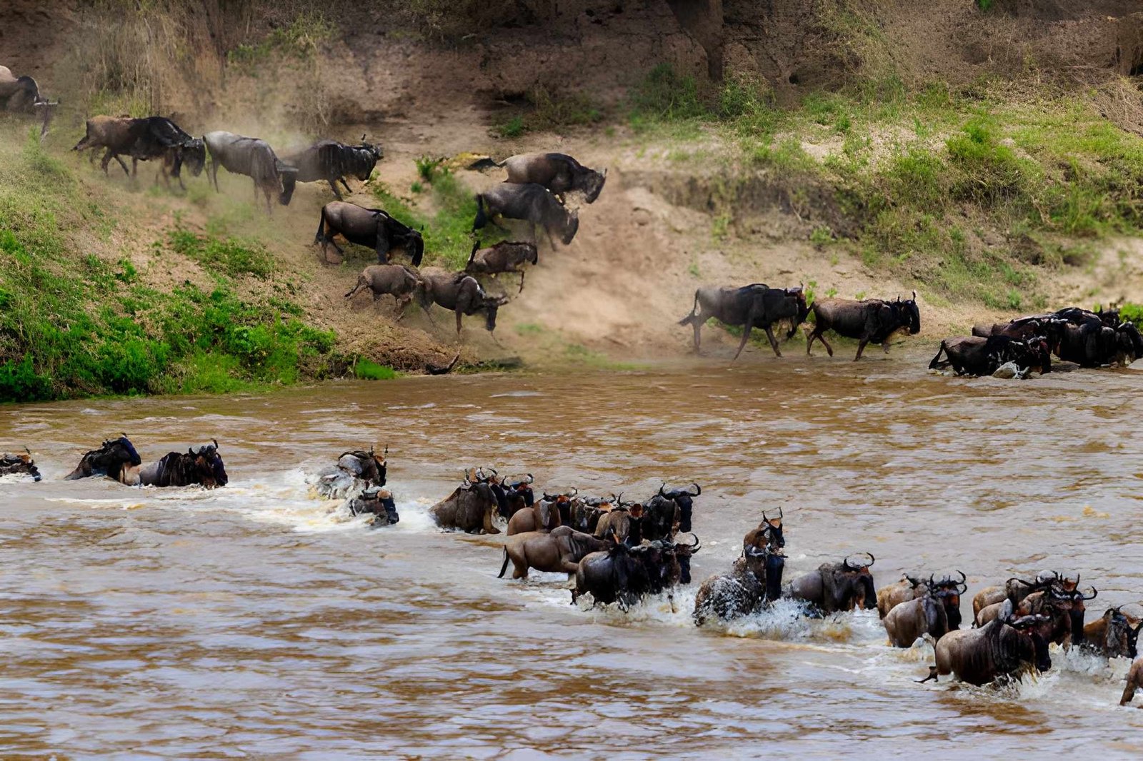 8-Day Serengeti Wildebeest Migration Safari