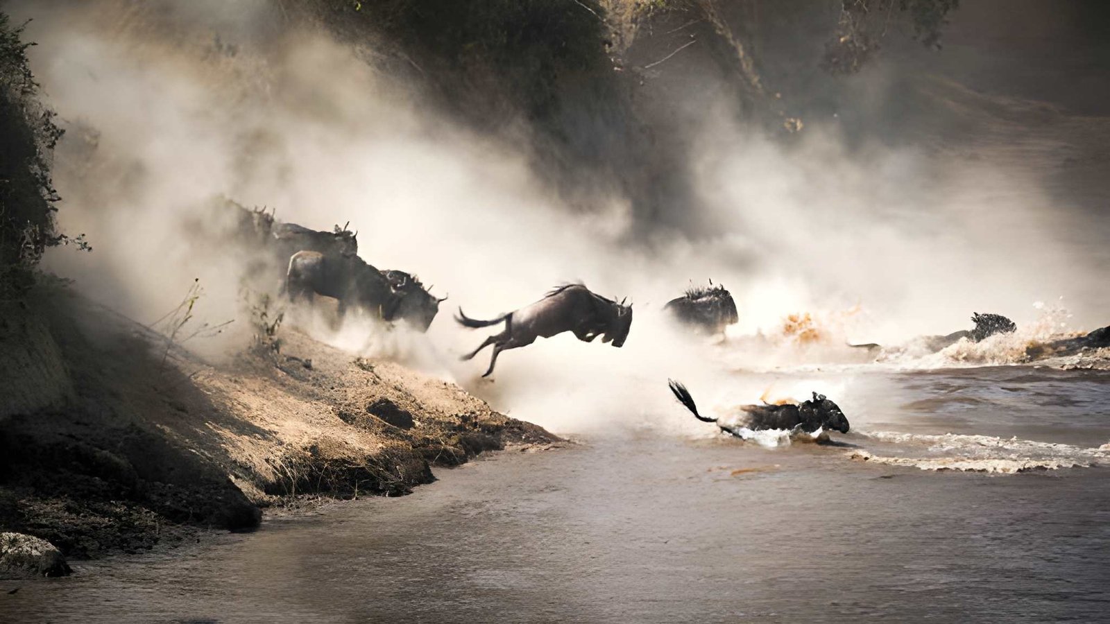 6-Day Serengeti Wildebeest Migration Safari