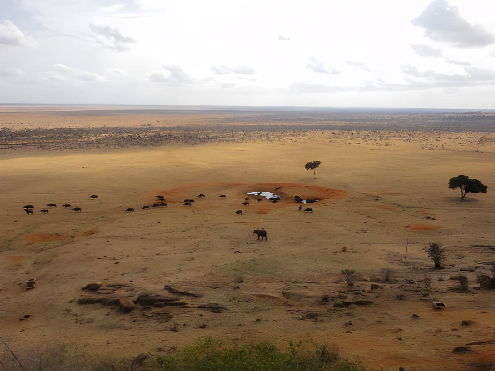 17-Day Kenya–Tanzania Expedition: The Great Plains Chronicle