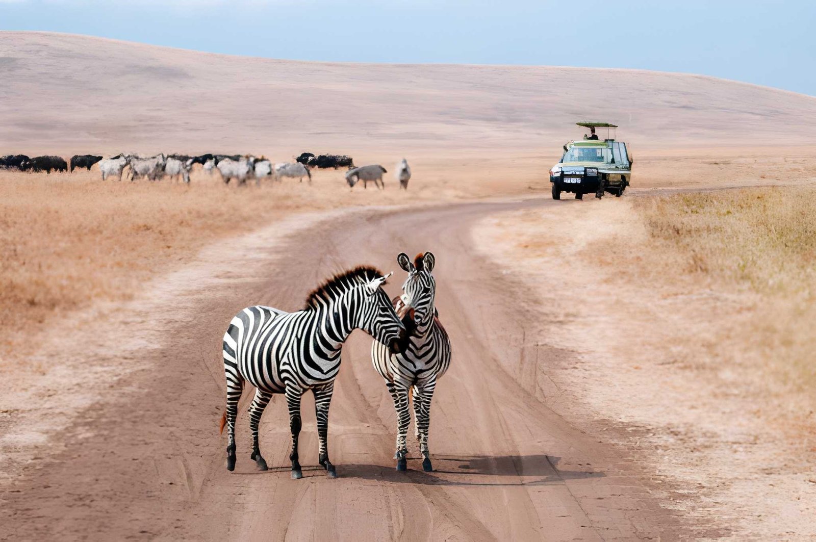 12-Day Tanzania & Kenya: A Journey for True Safari Aficionados