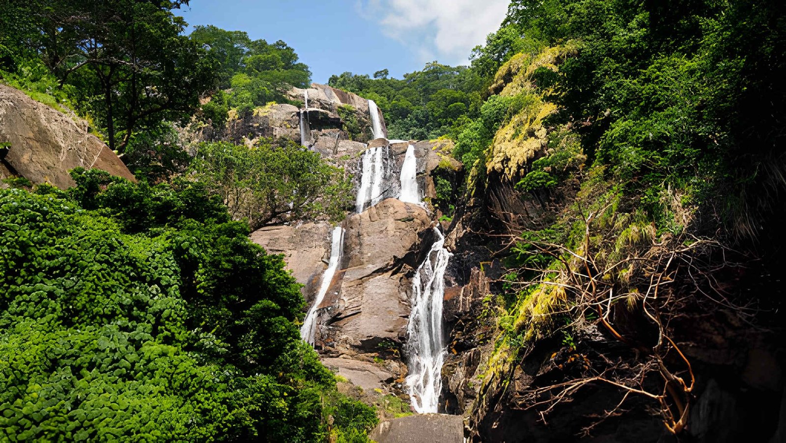 7-Day Southern Circuit: Mikumi, Udzungwa & Ruaha