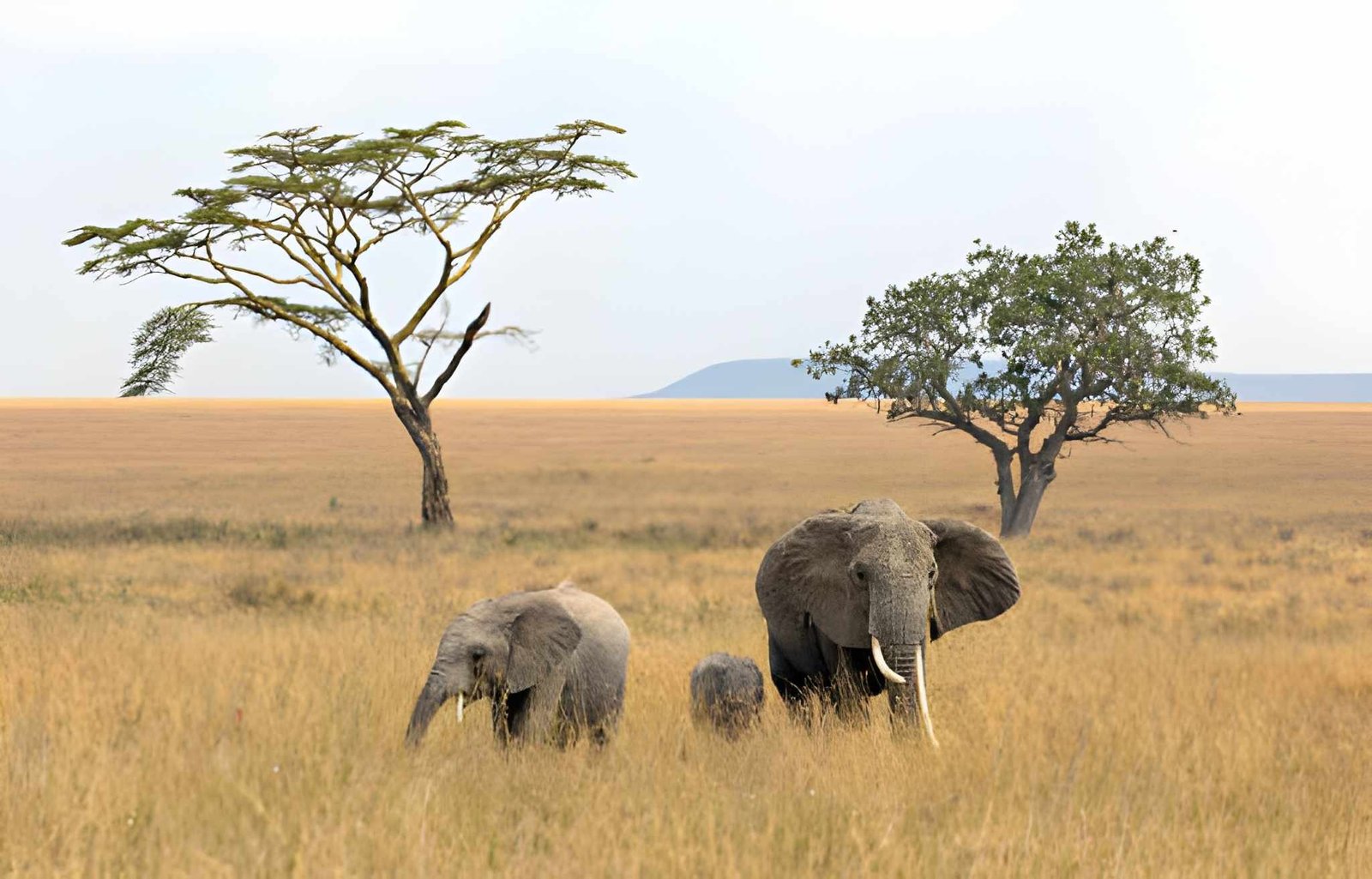 11-Day Enchanting Trip Experience