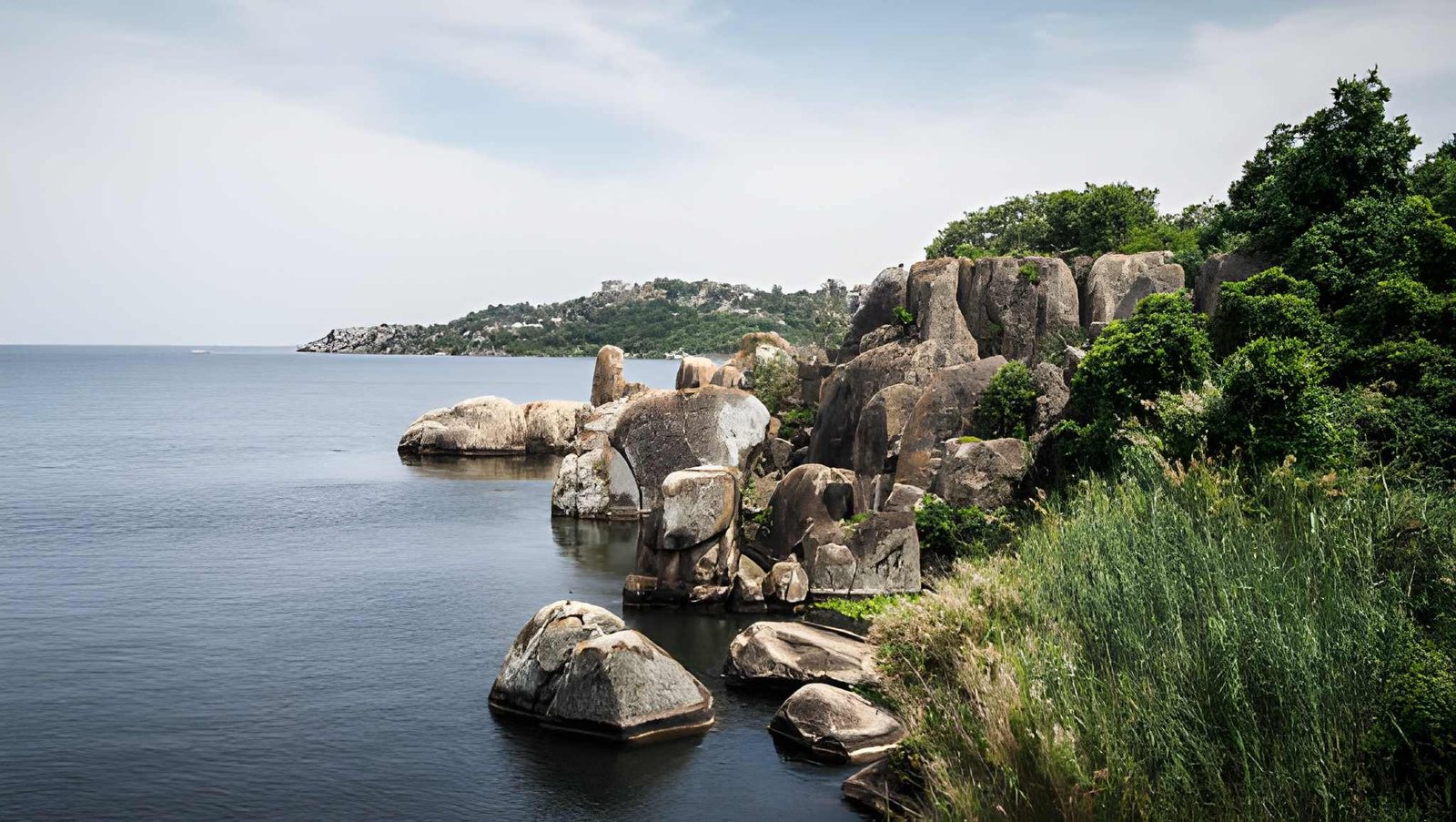 8-Day Western Circuit: Saanane Island, Rubondo & Serengeti