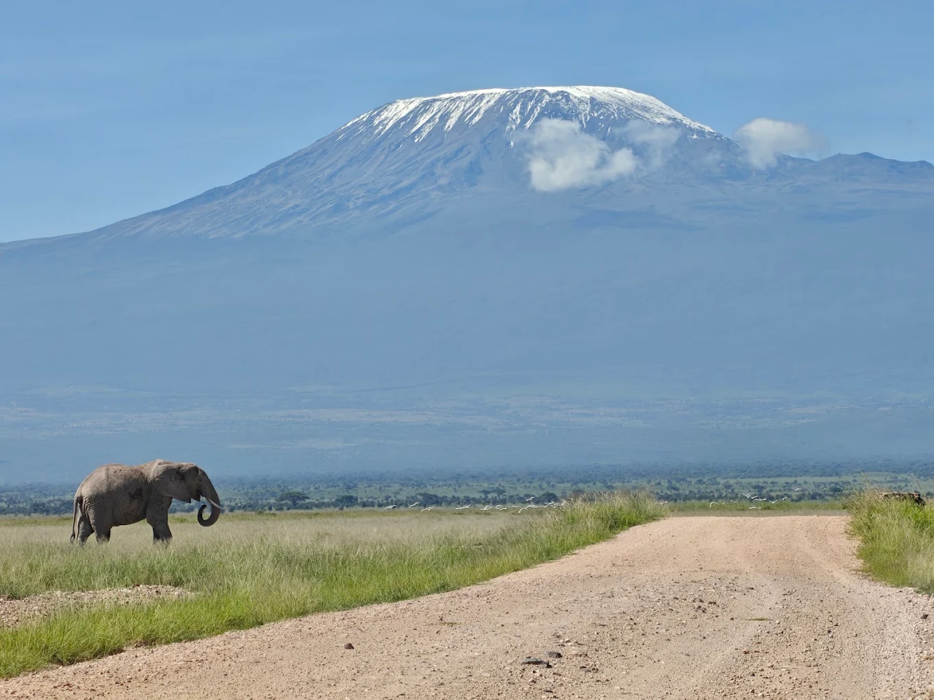 Amboseli National Park