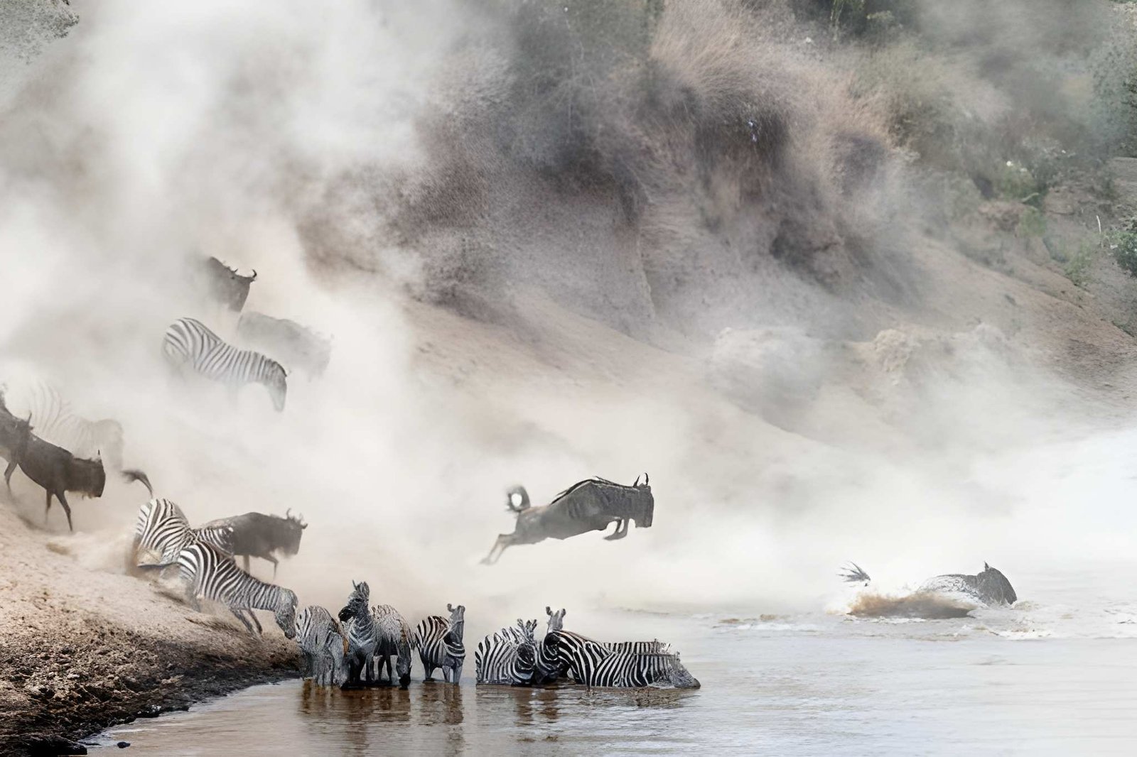 5-Day Zebra Safari