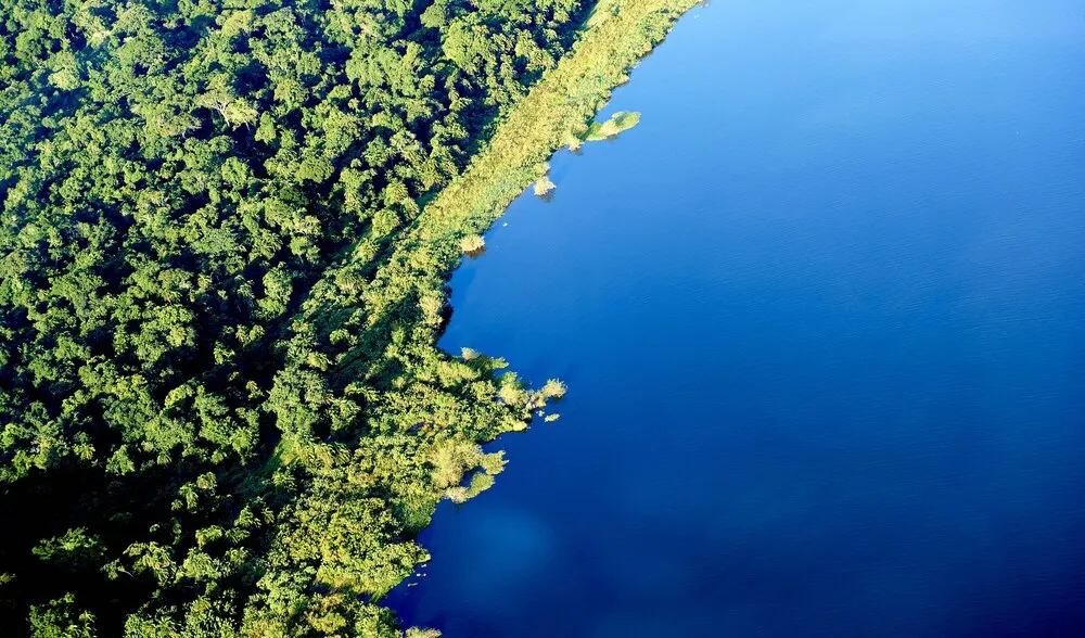 Rubondo Island Camp