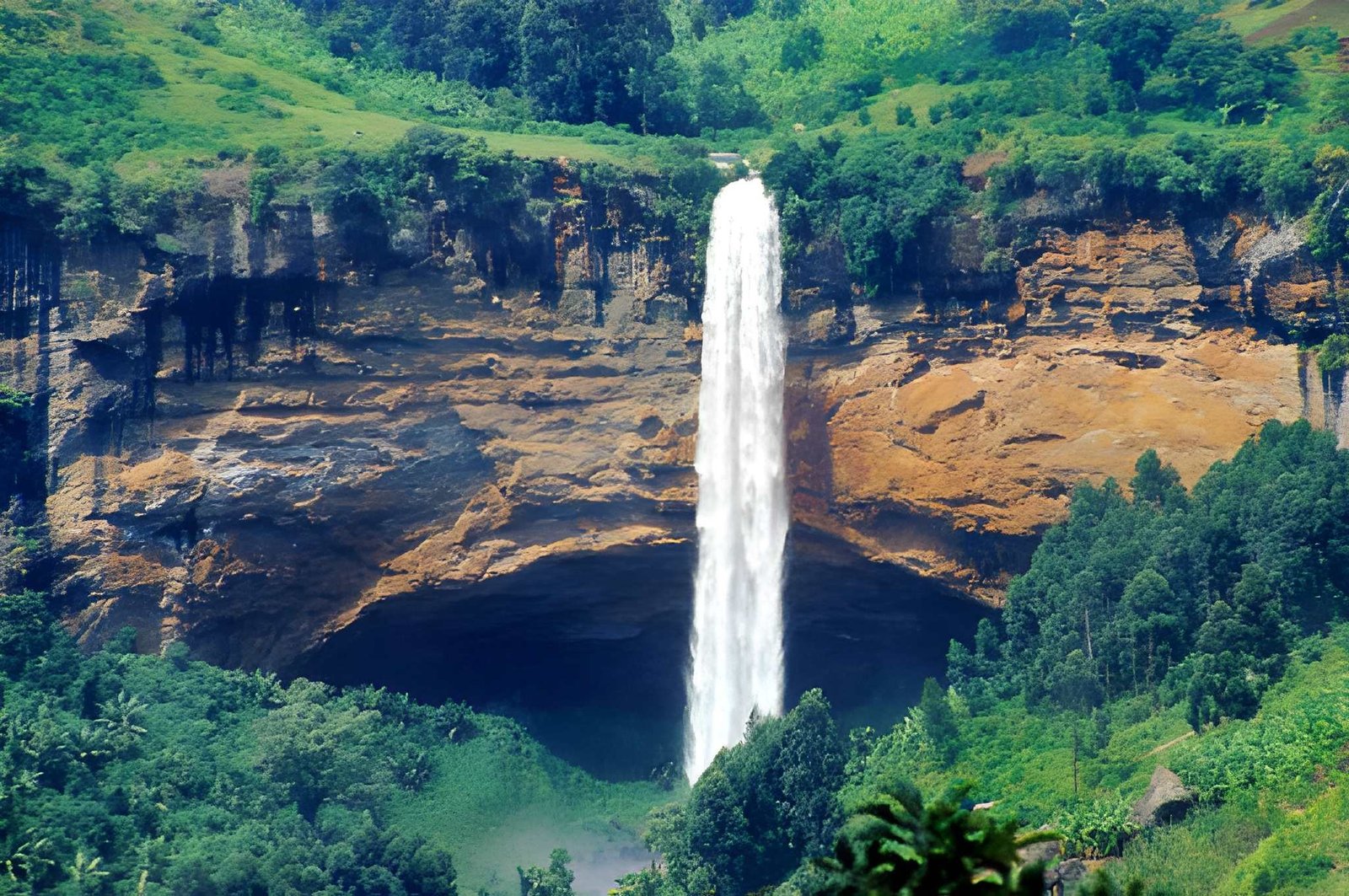 7-Day Uganda (Entebbe Start): Primates, Plains & Cultural Heartbeats