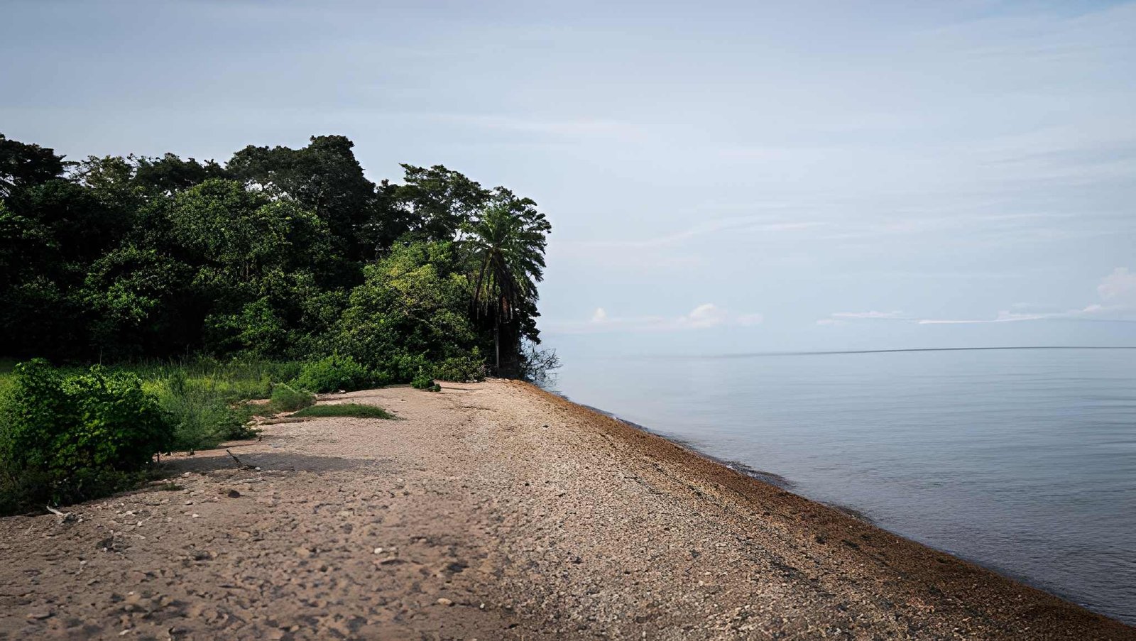 10-Day Western Circuit: Rubondo, Gombe & Mahale