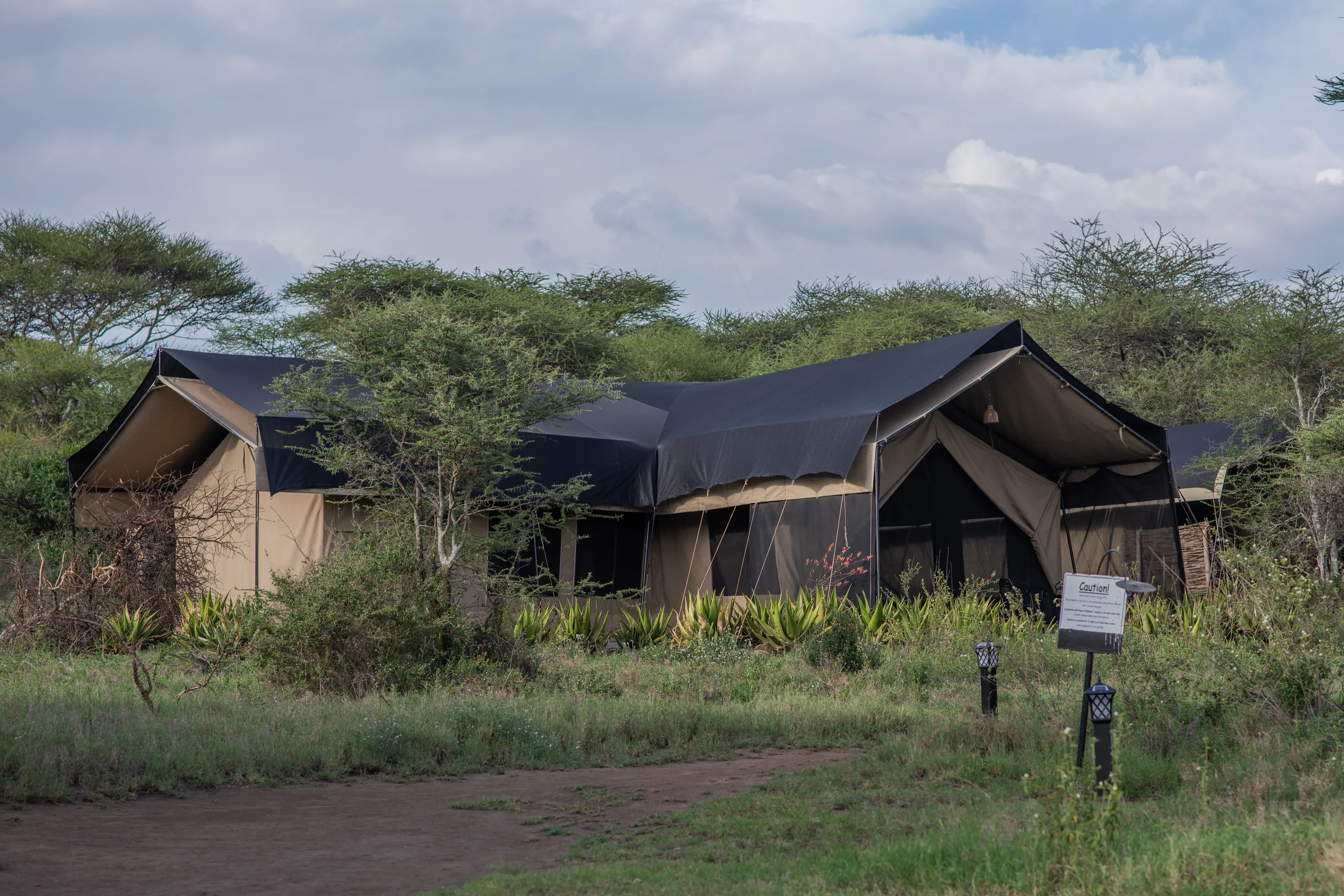 Serengeti Sametu Camp