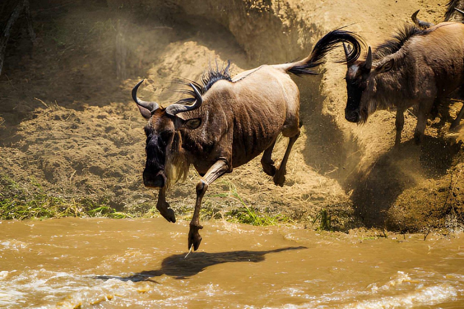 9-Day Serengeti Wildebeest Migration Safari