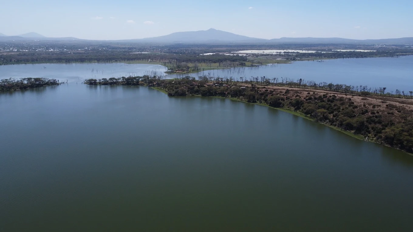 Lake Naivasha