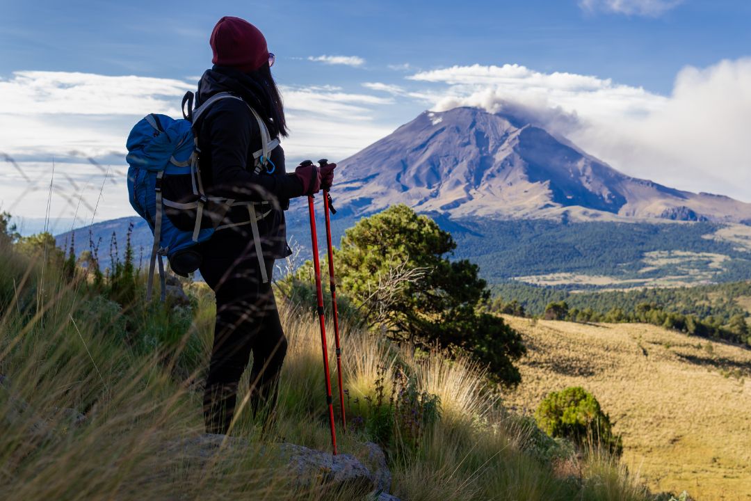 Kilimanjaro Trekking Poles