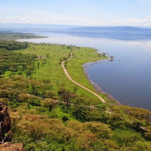 Baboon Cliff Viewpoint