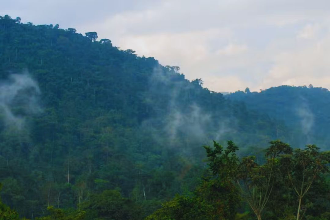 Heavy Rains Emerald Season