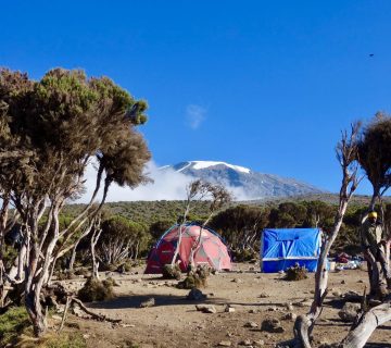 Millenium Camp