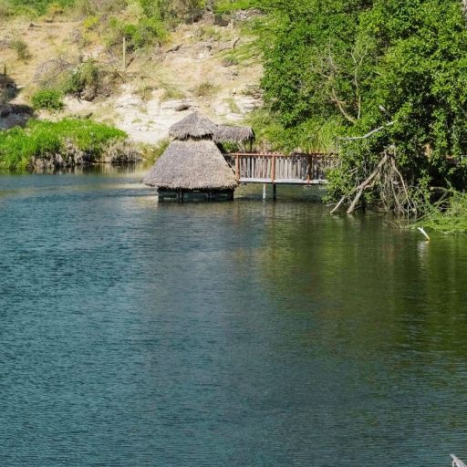 Mzima Springs