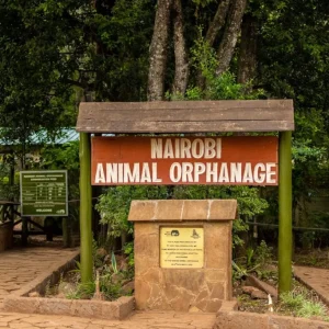 Nairobi-Animal-Orphanage-
