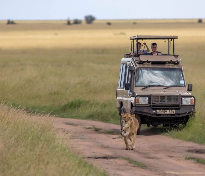 Our Safari Vehicles Pop Up Roof
