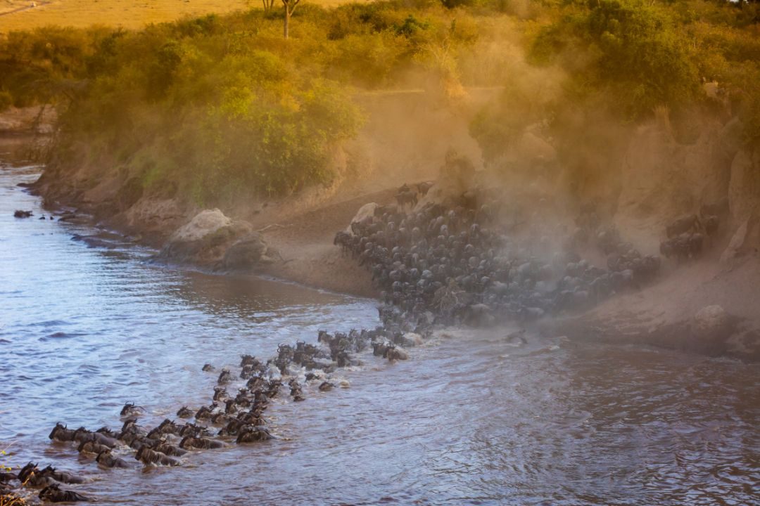 Rivercrossing