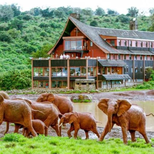 The Ark Lodge