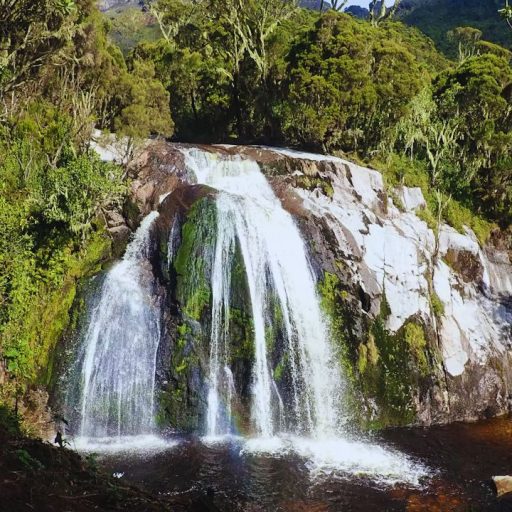 Waterfalls and Forest Trails