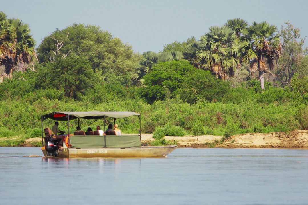 boat safari
