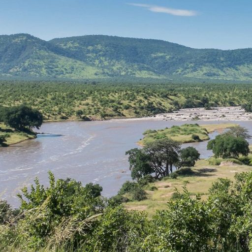 ruaha np (1)