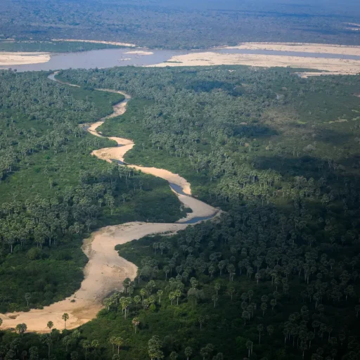 rufiji river