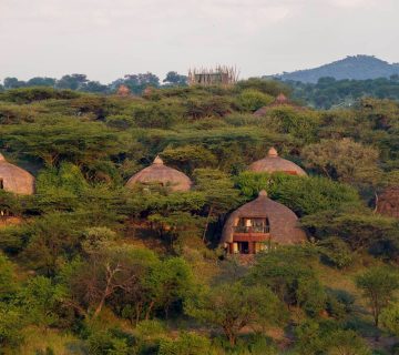 serenaserengeti-137